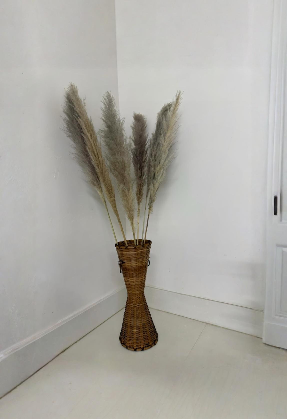 CalCastle Craft 48" Jumbo Pure-White Pampas Reeds 3 Pieces Fluffy Natural Dry Preserved Pampas Reed Stems