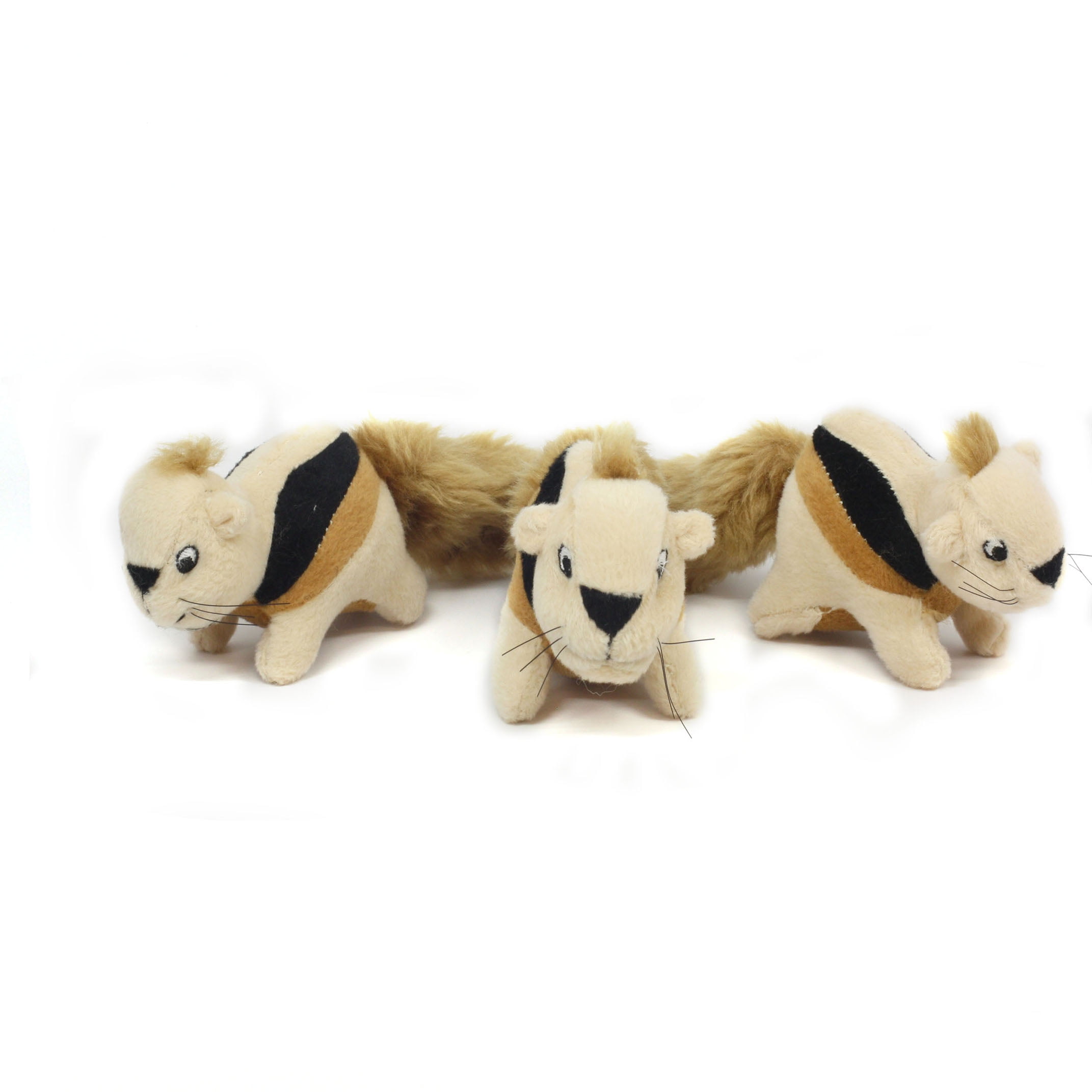 hide a squirrel toy