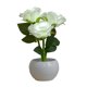 thumbnail image 2 of CaiYueKe USB Night Light Flower Pot Lamp, Mini Decorative Home Decor, Ceramic Table Lamp for Bedroom, Desk Lamp Ambient Lighting, Romantic Gift for Women, Housewarming, Wedding, Christmas Decoration, 2 of 7