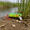 o09^K, 3.35in, variant on Bisitoy Topwater Mouse Fishing Lures, Bionic Rat Lure Kit for Bass, Pike, and Saltwater Species