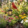 thumbnail image 7 of Cardinal Solar Light, A Beautiful Garden Light that Feels Full of Life, Outdoor Stake Yard Decor, Red Bird Lantern, Gift for Mom, 2 Pack, 7 of 7