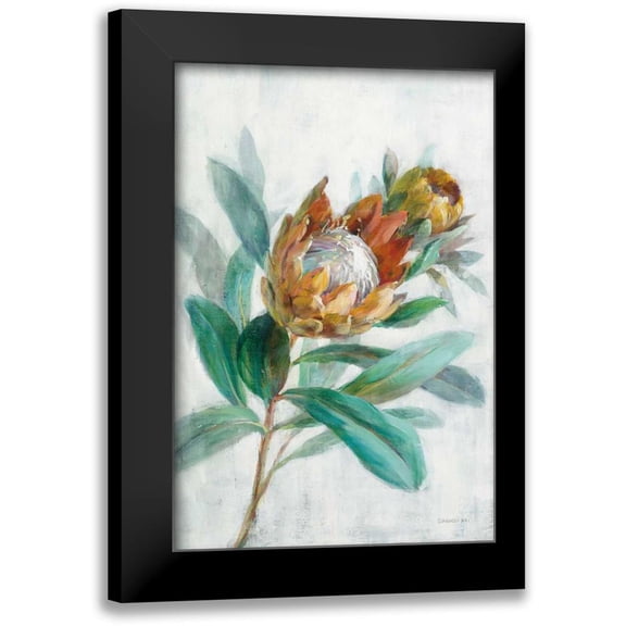 Nai, Danhui 11x14 Black Modern Framed Museum Art Print Titled - Tropical Protea