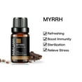 thumbnail image 6 of MAYJAM Pure Myrrh Essential Oil,10ML, Therapeutic Grade, for use with Oil Diffusers, Potpourri, and Wicking Fragrance Diffusers, 6 of 6