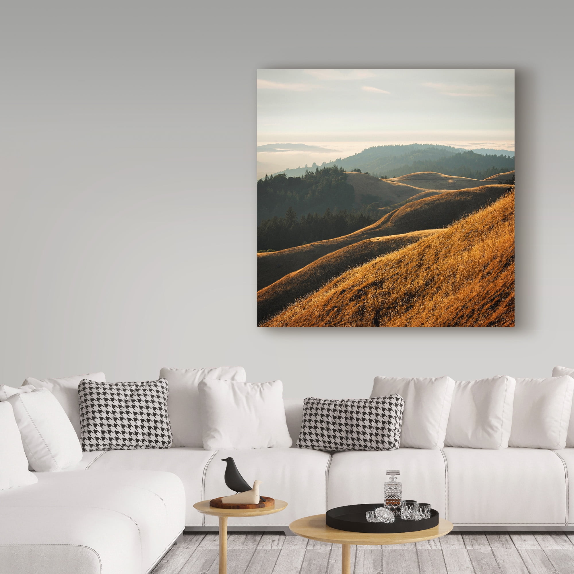 Trademark Fine Art 'Marin Hills' Canvas Art by Lance Kuehne