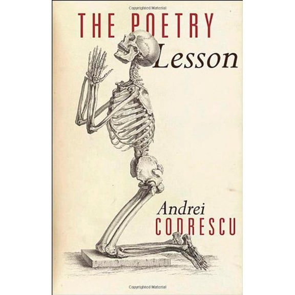 Pre-Owned The Poetry Lesson (Hardcover) 0691147248 9780691147246