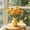 Orange, variant on Artificial Ranunculus Flower Stems 8 Colors Realistic Fake Peony Bouquet Home Wedding Party Table Centerpiece Vase Decoration Silk Floral Arrangement Indoor Event Decor Reusable