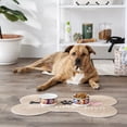 thumbnail image 3 of DII Pet Bowl Rainbow Paw, Small 4.25Dx2H (Set of 2), 3 of 4