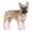Pink, variant on Zhuke 4Pcs Cute Dog Rain Shoes For Small And Medium Puppy, Adjustable Rubber Cartoon Dog Boots,Waterproof, Anti-, Dirt-Resistant Paw Protection
