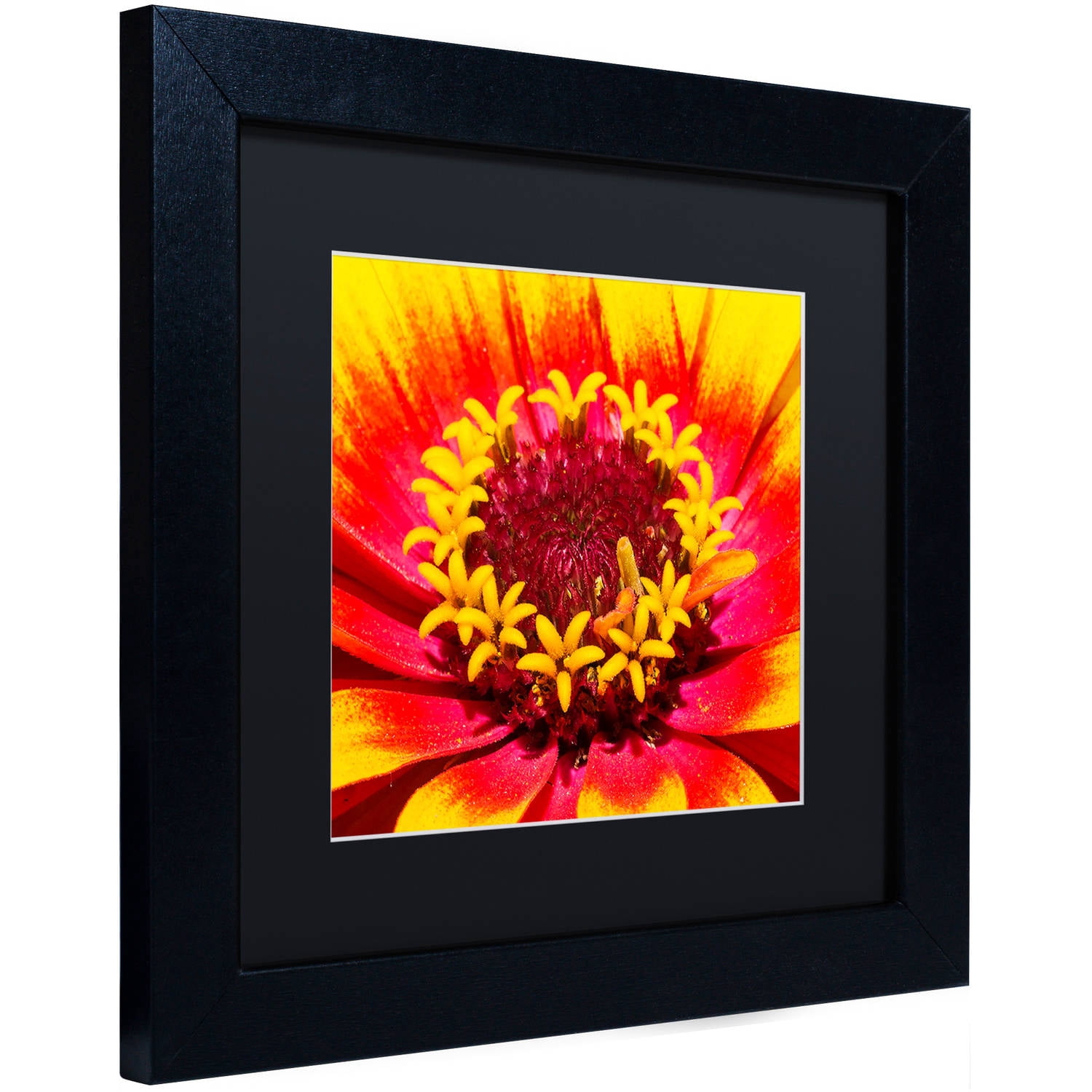 Trademark Fine Art "Floral Mass Coronal Ejection" Canvas Art by Kurt Shaffer, Black Matte, Black Frame