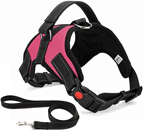 Best for Training Walking for Small Medium Large Dog Breathable Adjustable Comfort Free Leash Included No Pull Dog Harness 