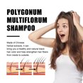 thumbnail image 3 of Shampooing Assombri, Polygonum Multiflorum Shampooing pour les Cheveux 3pcs 100ml Sans Danger pour un Usage Domestique, 3 of 8