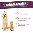 thumbnail image 3 of Amber NaturalZ Hawthorn and Dandelion for Pets | For Heart Health, Circulation, & Fluid Balance 1oz, 3 of 7