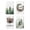 Multi1, variant on Sm:)eElk Trees Pine Cones Holly Berry Hello Winter Kitchen Towels Dish Towels, 18x26 Inch Bowknot Christmas Decoration Hand Towels Set of 4