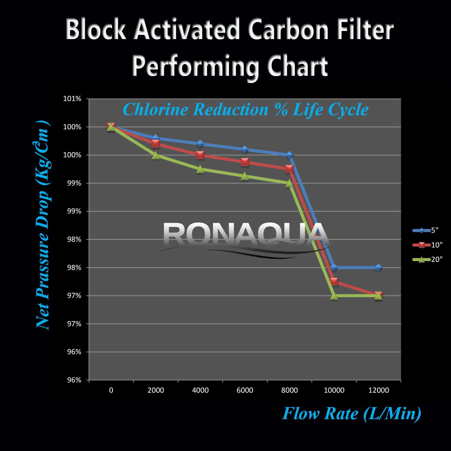 Big Blue CTO Carbon Block Water Filters 4.5" x 20" Whole House Cartridges by Ronaqua (6 Pack)