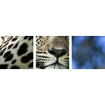 thumbnail image 2 of Great BIG Canvas Melissa-lee Annetts Premium Thick-Wrap Canvas entitled Leopard in a Tree, 2 of 2
