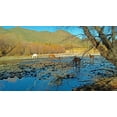 thumbnail image 2 of Popcorn 32x20 White Modern Wood Framed Museum Art Print Titled - Wild Horses IV, 2 of 4