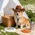 thumbnail image 2 of AYktou Pet Cowboy Hat, Cats and Dogs Cowboy Costume Mini Hat Pet Holiday Party Decoration Cap with Adjustable Strap, Dogs & Cats Headwear Cowboy Hat for Festival Party Theme Photography, 2 of 7