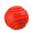 thumbnail image 1 of Bite-Resistant Pet Bouncy Ball, 1 of 11