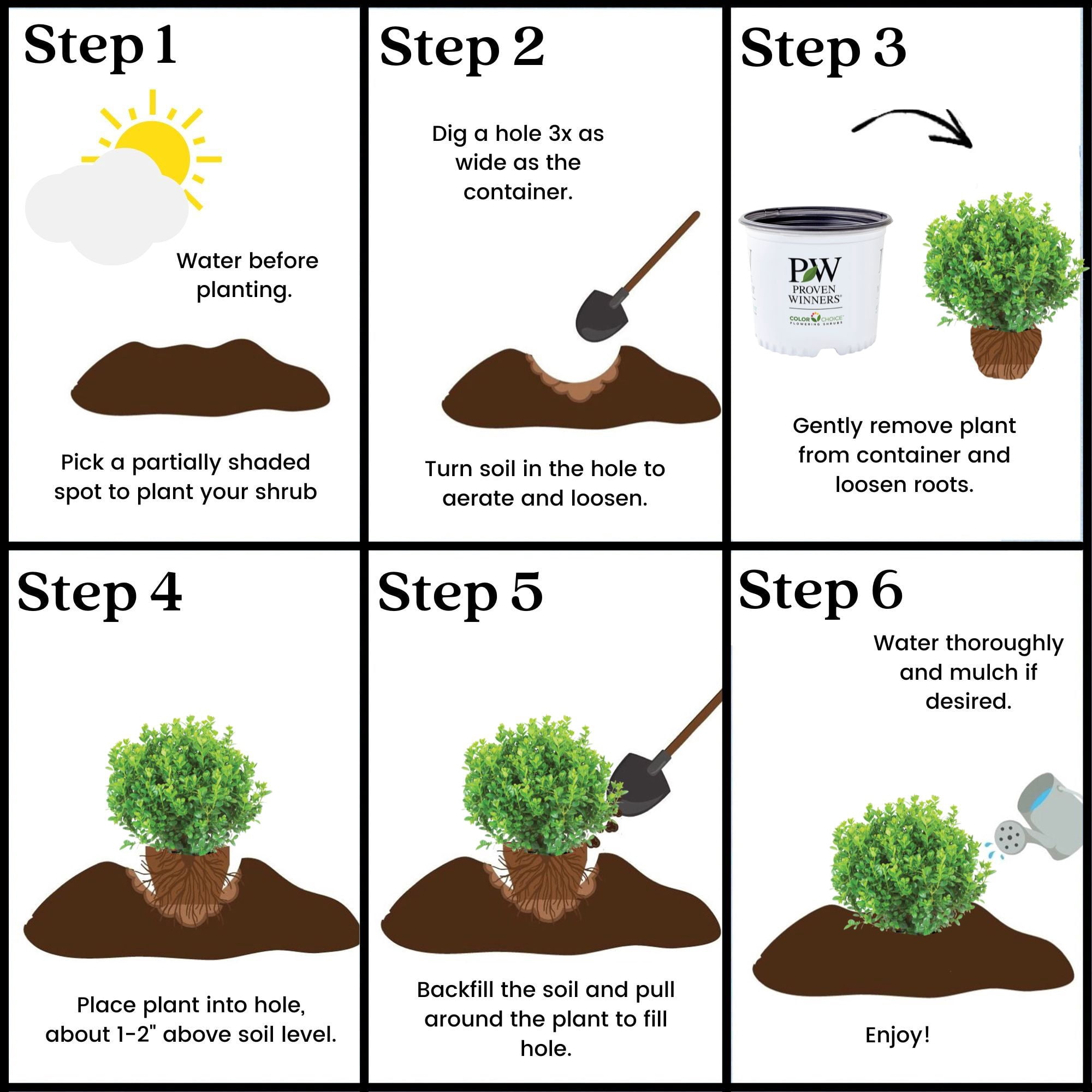 Proven Winners ColorChoice Sprinter Boxwood Live Shrub (2 Gallon)