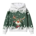 thumbnail image 4 of Byoo Toddler Girls Sweatshirts Cartoon Deer Graphic Crew Neck Long Sleeve Pullover Girls Xmas Autumn Winter Oversized Hoody, 4 of 4