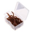 thumbnail image 4 of 20 Pcs / Box Strong Fishy Fishing Worm Soft Clam Worms Bass Fishing, 4 of 7