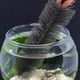 thumbnail image 4 of unbranded 5Ud Cepillo Para Limpieza De Negro Cepillo Flexible Para De Acuario, 4 of 6