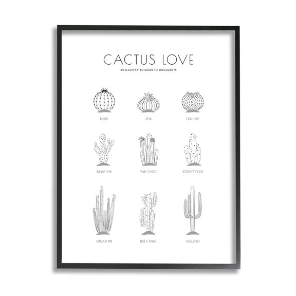 Stupell Industries Illustrated Guide to Succulents Minimal Modern Cactus Plant, 16 x 20, Designed by Martina Pavlova