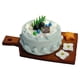 thumbnail image 3 of Lindo postre 1/6 1/12 Sala de estar Casa de muñecas Pastel Decoración Suministros Estilo B, 3 of 9
