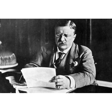 Laminated Poster Conversations Theodore Roosevelt Glossy Poster Banner President Teddy Poster Print 24 x