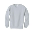 thumbnail image 1 of Hanes ComfortBlend EcoSmart Boy`s Crewneck Sweatshirt, XL, Ash, 1 of 1