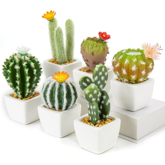 MixMart 6 Pcs Mini Artificial Cactus Plants in in Ceramic Pots Faux Succulents Potted Home Decor Indoor Office Desk Tabletop Shelf