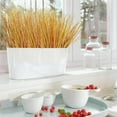 thumbnail image 6 of Zukuco 16PCS Fake Autumn Red Grass Decor Artificial Grass Plants Outdoor Artificial Tall Shrubs Wheat Grass Greenery Stems Faux UV Resistant Grass Artificial Plant for Outdoor Indoor Home Decor, 6 of 7