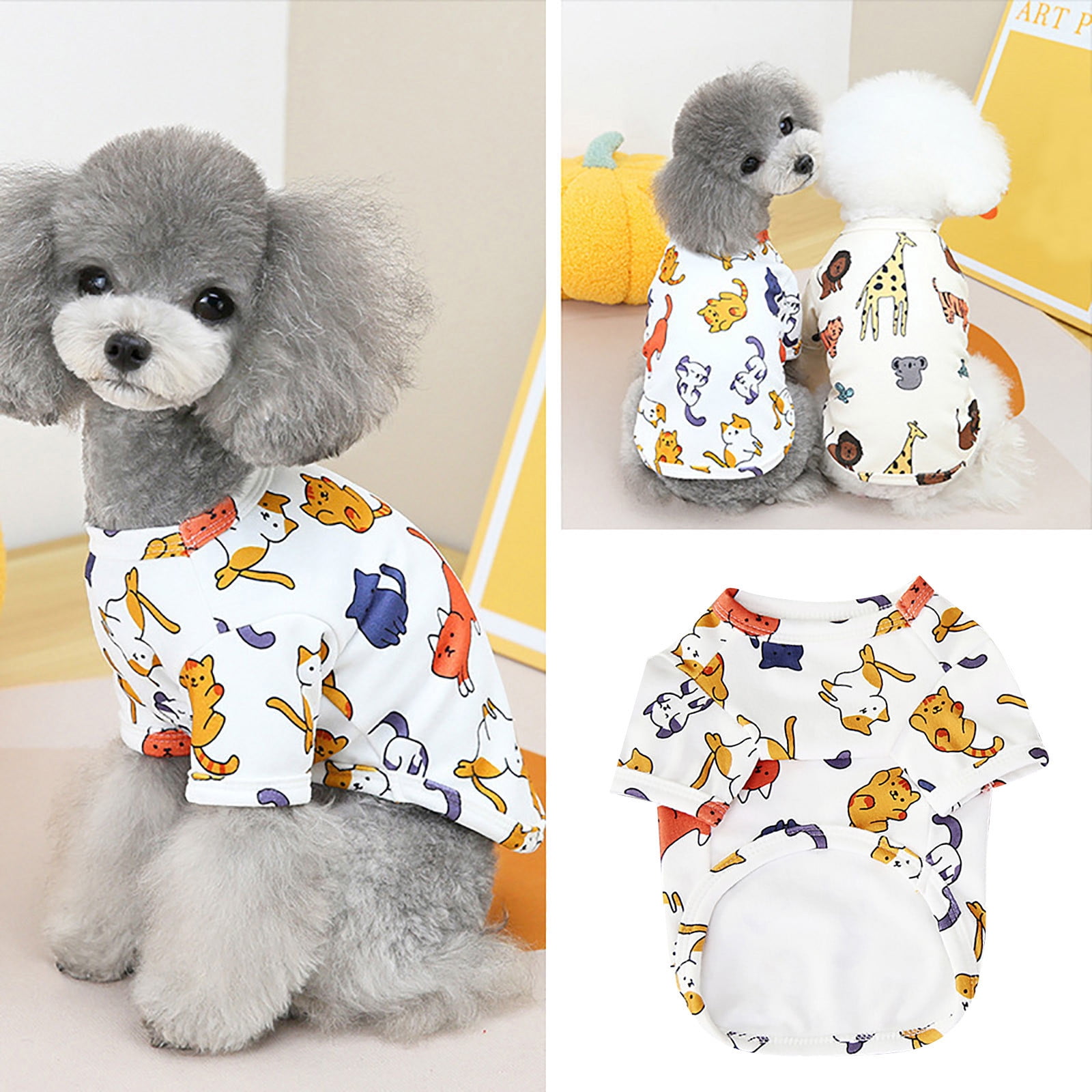 Pet Fashion: Dressing Up Your Furry Friends JD Institute Of Fashion ...