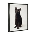 thumbnail image 3 of Stupell Industries Cute Black Cat Expressive Eyes Pet Portrait Jet Black Framed Floating Canvas Wall Art, 16x20, by Marika Moffit, 3 of 5