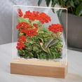 thumbnail image 1 of Hummingbird and Geraniums, 1 of 8