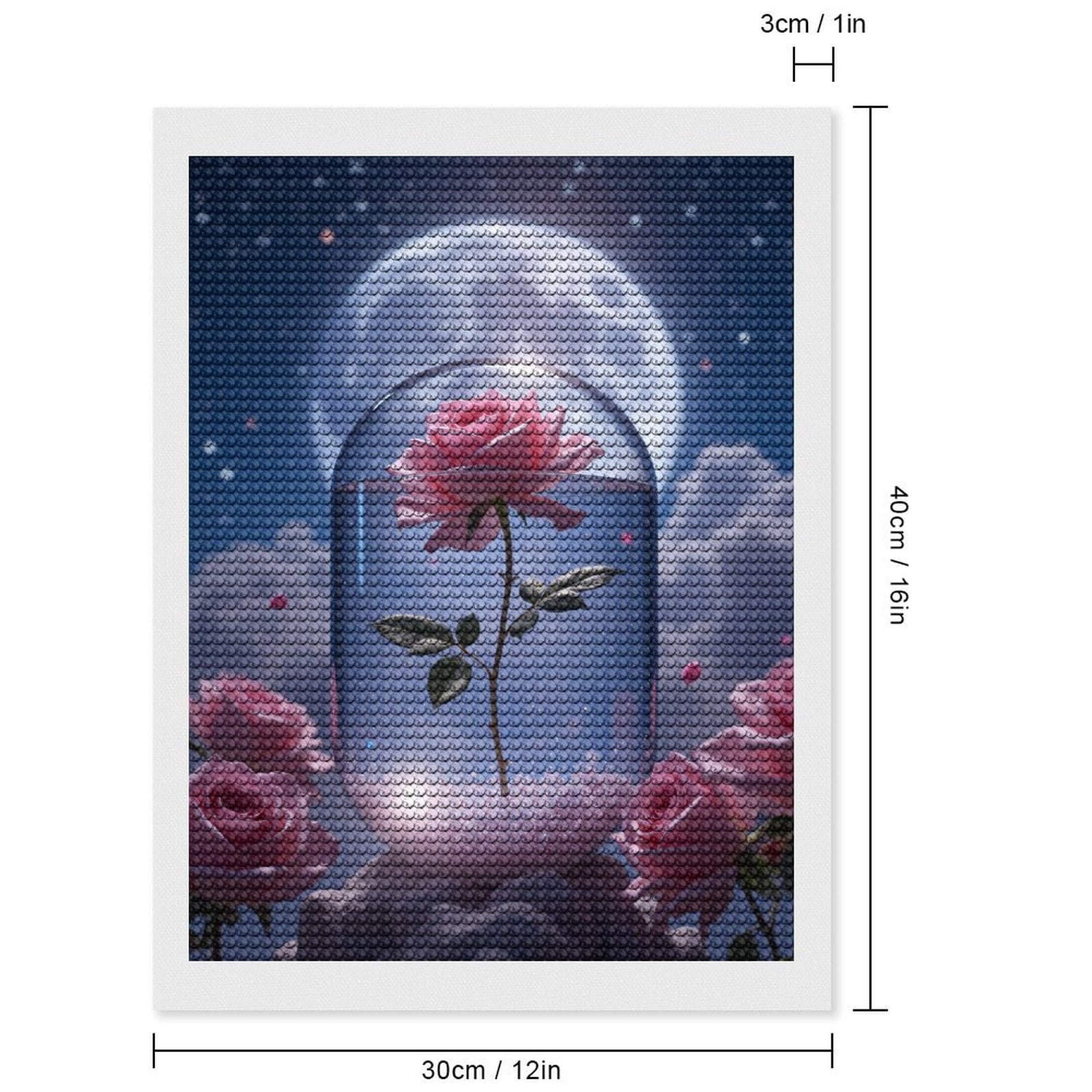 Diamond Art Kits for Adults, Moonlit Enchanted Rose Under Glass 5D Diamond Painting Kits for Adults Beginners, DIY Full Drill Diamond Painting, Gem Art and Crafts 12x16