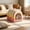 Pink, variant on Portable Foldable Cooling Cat Igloo Bed Enclosed Summer Chill Cave with Ice Pack for Cats Small Dogs All Season Indoor Outdoor Insulated