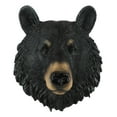 thumbnail image 3 of Ebros Gift The Brave Black Bear Head Wall Decor Plaque 8"H Wall Decor Plaque, 3 of 7