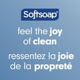 thumbnail image 4 of Softsoap Gel Douche Hydratant et Gel à Raser, Parfum Riche de Noix de Coco, Bouteille de 591 ml, 4 of 4