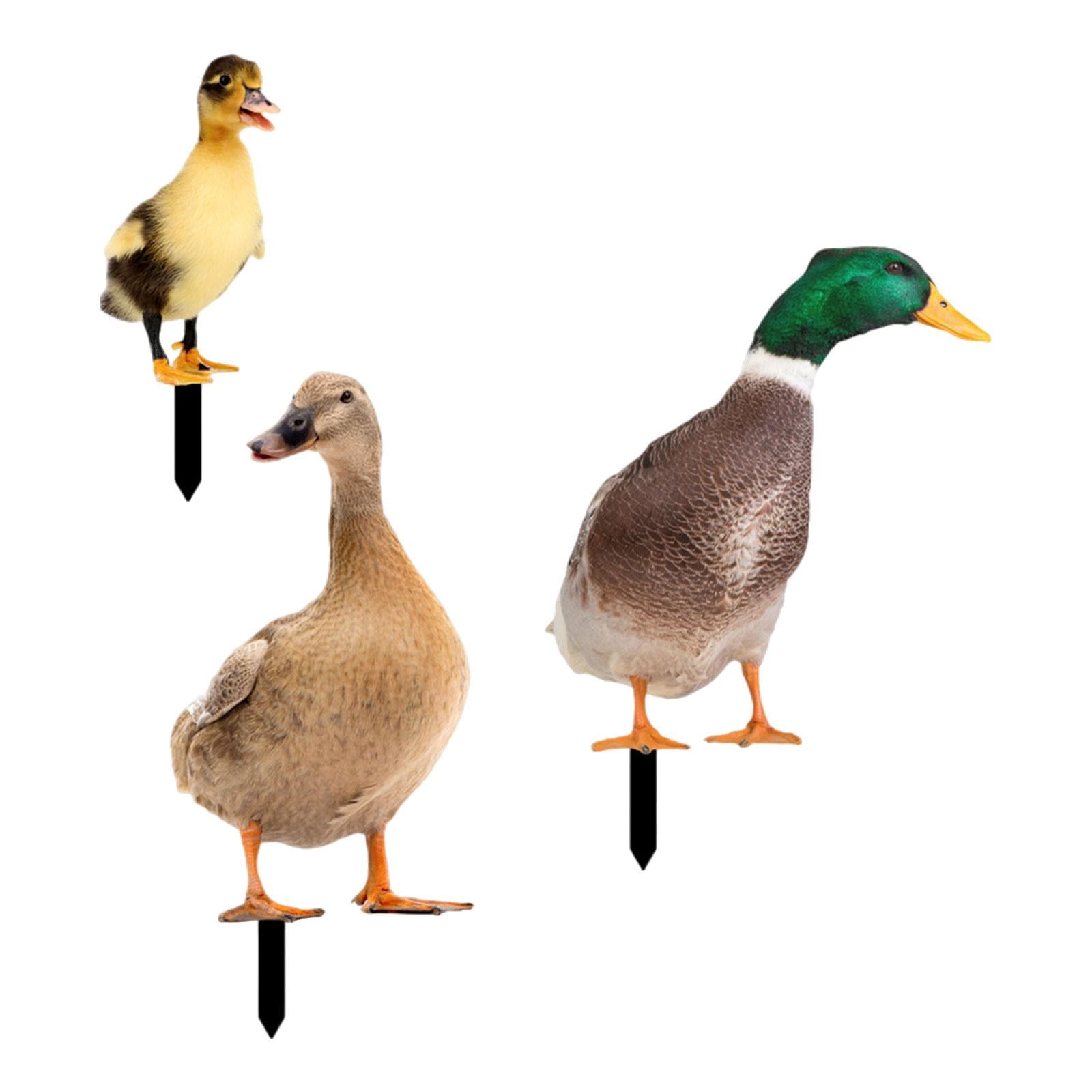 3Pcs Duck Animal Statue Stakes, Garden Stakes Decorative, Floor Decoration Ornaments, Duck Garden Statue for Porch Patio Yard Art Sculpture