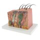 thumbnail image 5 of 35: 1 Modelo De Piel Humana Bloque Anatomía Biología s De Enseñanza Médicas, De Duración Sunnimix Bloque de tejido de piel humana, 5 of 7