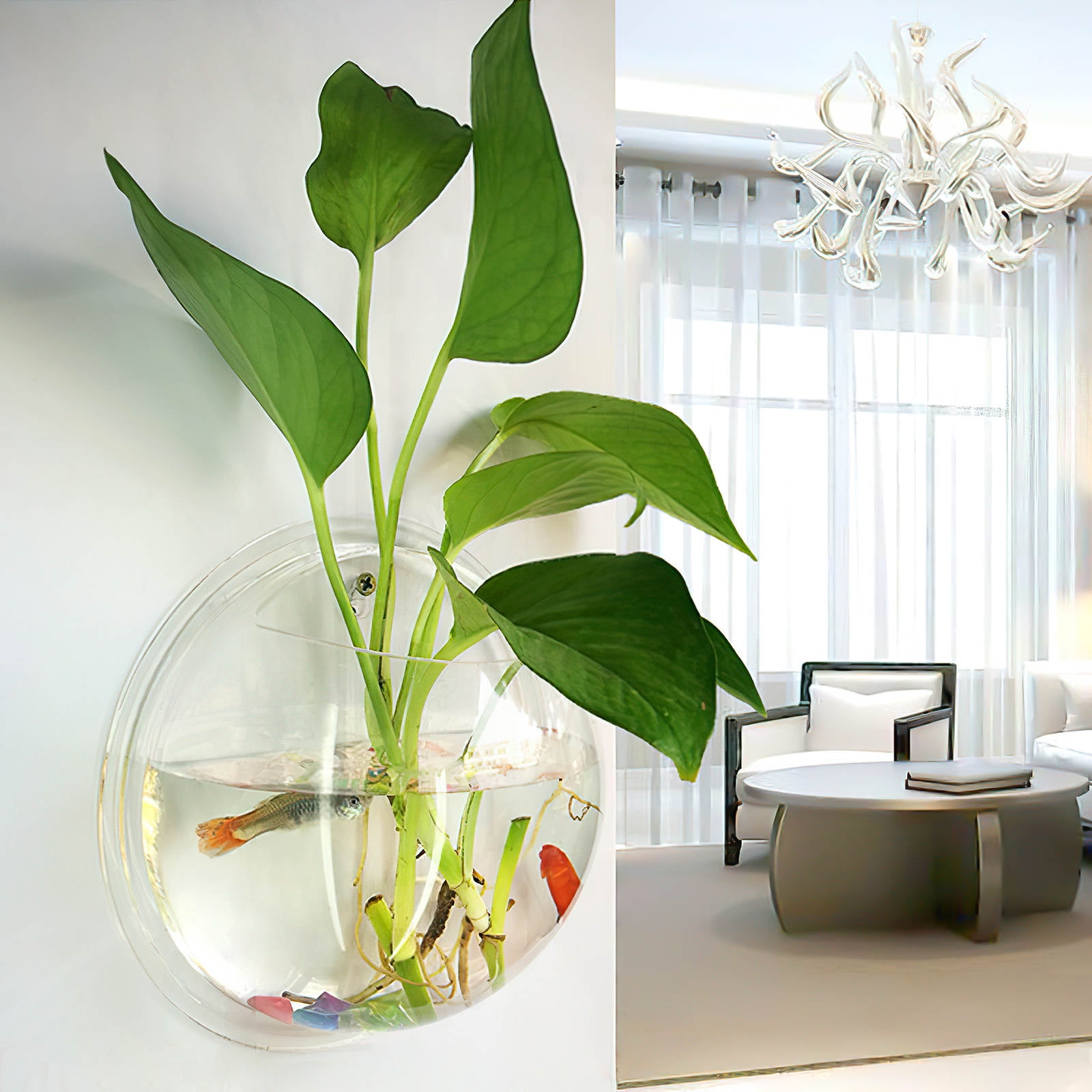 LULULION Wall Mounted Acrylic Fish Bowl Transparent Hanging Tank for Home Decor