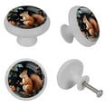 thumbnail image 4 of Squirrel Round Glow-in-the-Dark Cabinet Knobs: Fluorescent Drawer Pulls 4-Pack, Complet– Suitable Kitchen Hardware, 4 of 6