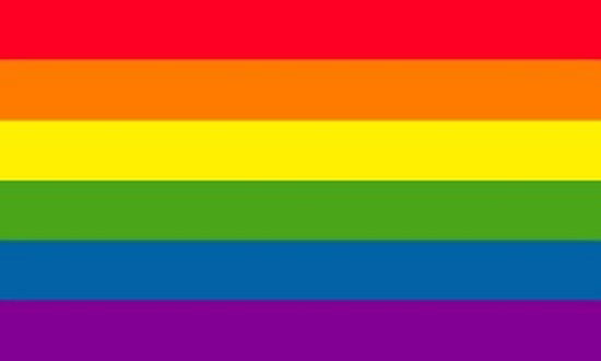 gay pride flags and banners