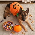 thumbnail image 4 of Racsoh Halloween Funny Pet Role Play Costume, Cute Transforming Pumpkin Outfit for Dogs and Cats, Halloween Christmas Party Dress Up Apparel for Photo Shoots (Orange, L), 4 of 6