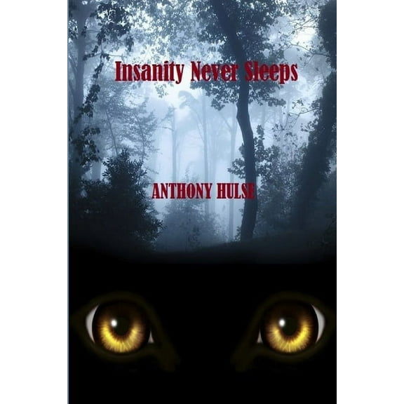Insanity Never Sleeps (Paperback)