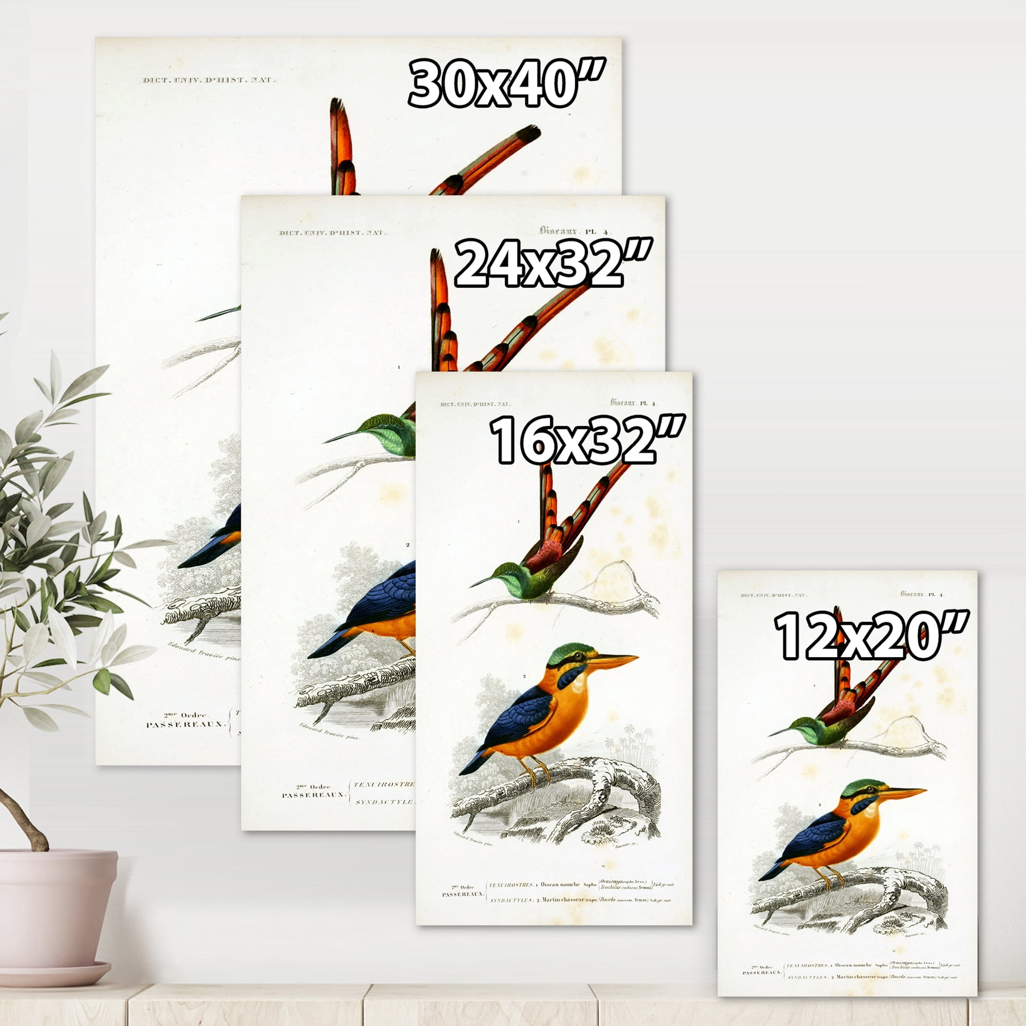 Designart ' Ancient Bird I ' Traditional Canvas Wall Art Print