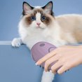Yguping With Electric Water Spray Cat Hair Brush Dog Cat Massage Brush