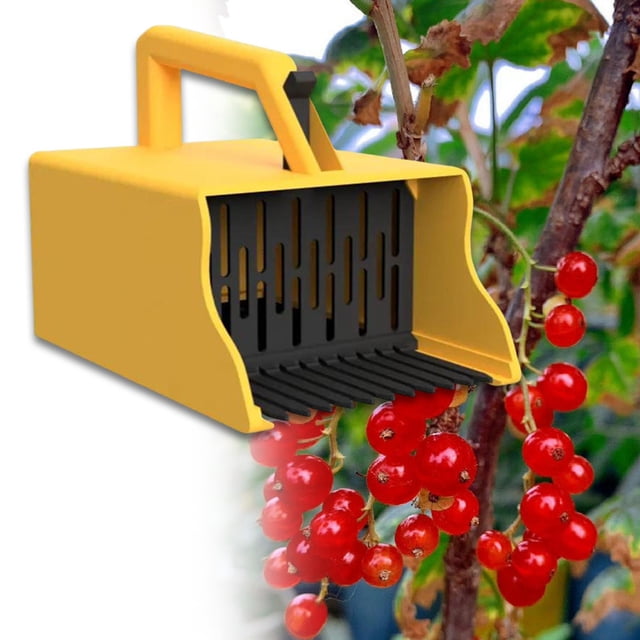 Rake de recolección de arándanos con peine y mango ergonómico Herramienta de jardinería de coleccionistas de bayas livianas para arándanos de