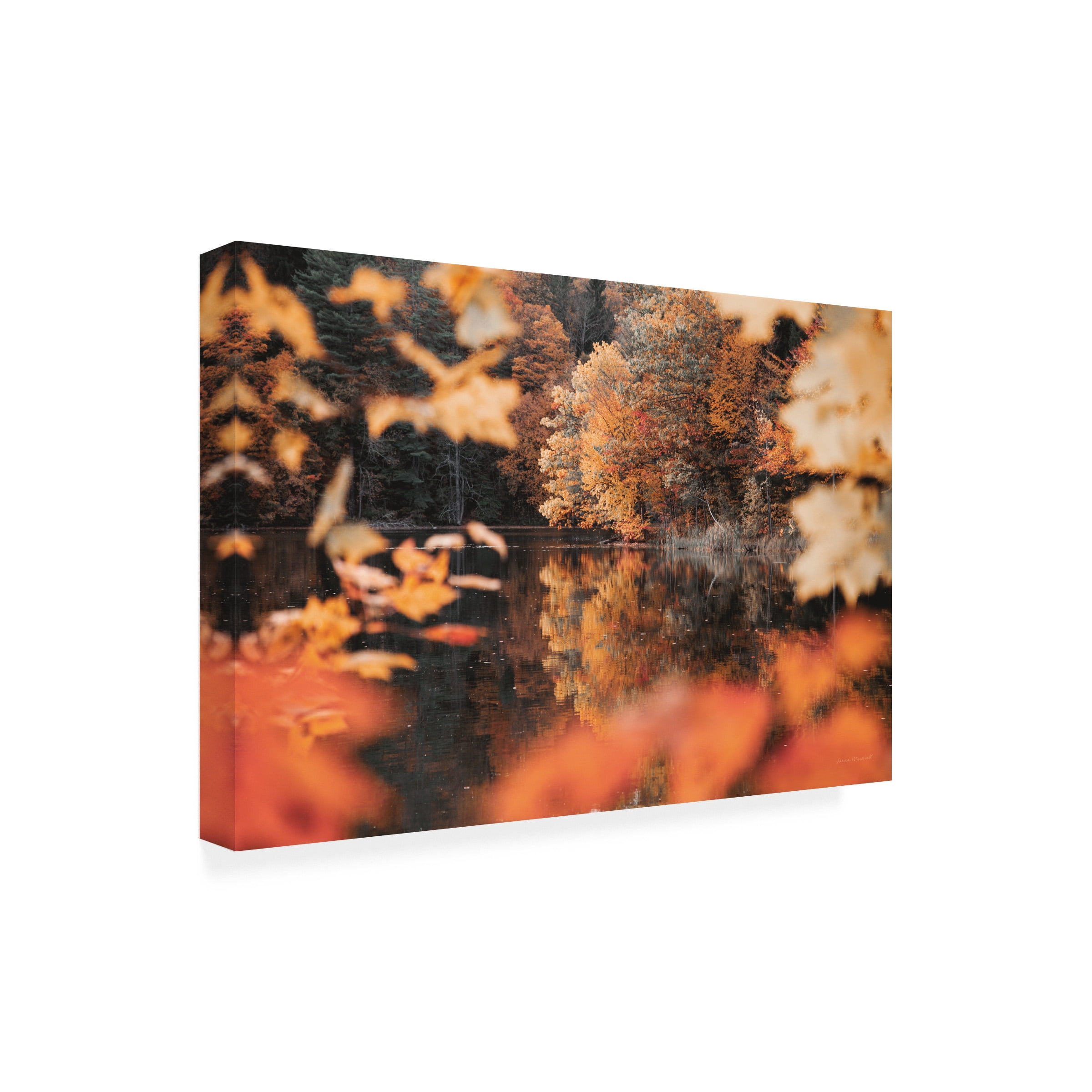 Laura Marshall 'Autumn Reflections' Canvas Art